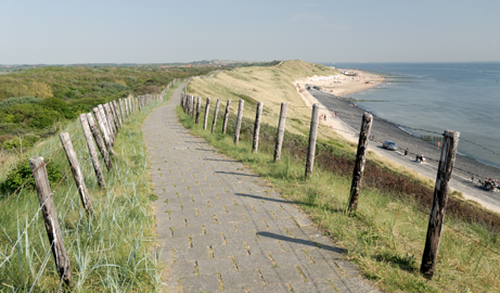 Pad_door_de_Duinen